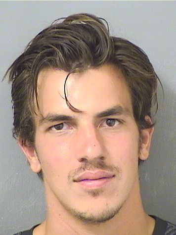  BRYCE ANTHONY ROBERT DOOLITTLE Resultados de la busqueda para Palm Beach County Florida para  BRYCE ANTHONY ROBERT DOOLITTLE