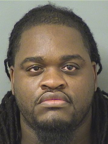  VINCENT CONEL TERAGENE Results from Palm Beach County Florida for  VINCENT CONEL TERAGENE