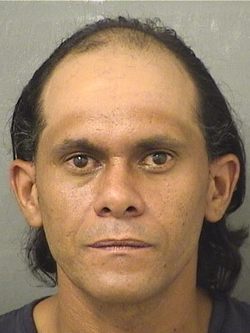  NOEL ROSAPACHECO Results from Palm Beach County Florida for  NOEL ROSAPACHECO