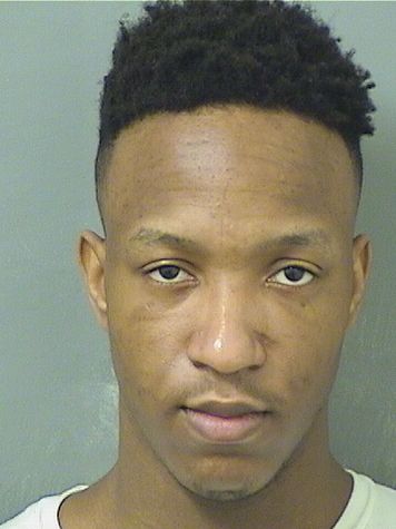  MICHEAL JEROME WATSON Results from Palm Beach County Florida for  MICHEAL JEROME WATSON