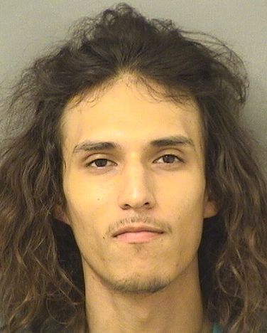  DANIEL F RUIZ Results from Palm Beach County Florida for  DANIEL F RUIZ