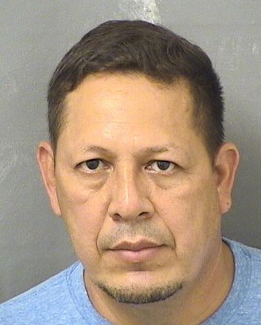 NELSON VELASQUEZ Photos For  NELSON VELASQUEZ  NELSON VELASQUEZ Photo For  NELSON VELASQUEZ