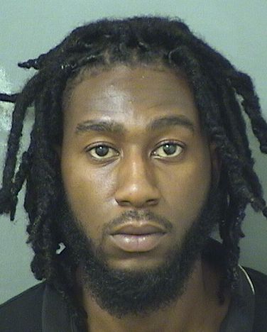  DAVID MARTIERE Results from Palm Beach County Florida for  DAVID MARTIERE