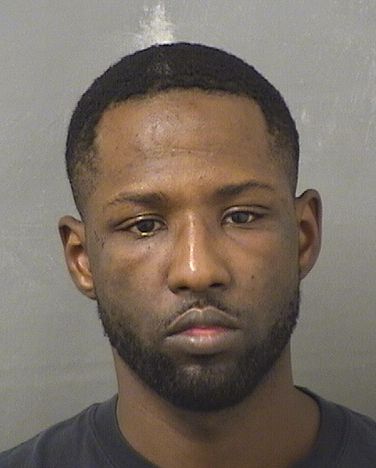  CHAMI N MOUBARAK Results from Palm Beach County Florida for  CHAMI N MOUBARAK