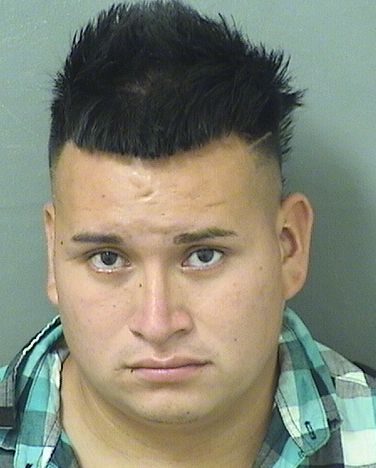  AMADEO GONZALEZ LOPEZ Resultados de la busqueda para Palm Beach County Florida para  AMADEO GONZALEZ LOPEZ