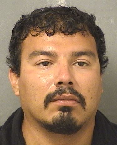  MARCO ANTONIO TREVINO Results from Palm Beach County Florida for  MARCO ANTONIO TREVINO