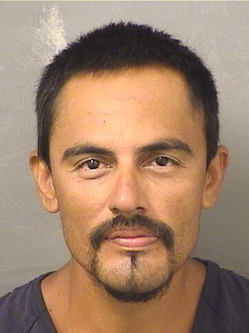  JOSE REYNOSOFIGUEROA Resultados de la busqueda para Palm Beach County Florida para  JOSE REYNOSOFIGUEROA