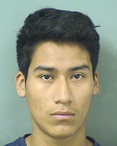  MARVIN A LUCAS GOMEZ Results from Palm Beach County Florida for  MARVIN A LUCAS GOMEZ