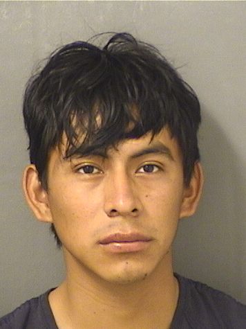  ESLI LOPEZ GIRON Resultados de la busqueda para Palm Beach County Florida para  ESLI LOPEZ GIRON