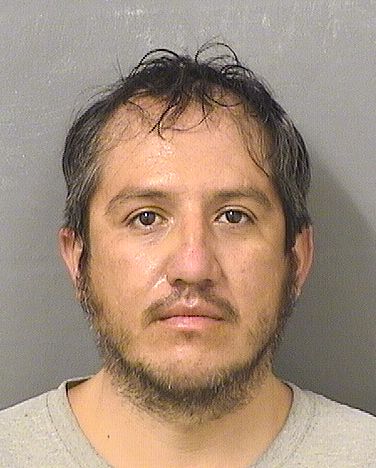  LUIS M ZABALA Resultados de la busqueda para Palm Beach County Florida para  LUIS M ZABALA