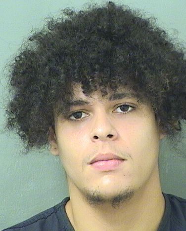  MICHAEL FASANO Resultados de la busqueda para Palm Beach County Florida para  MICHAEL FASANO