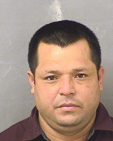  JOSE NEFTAIL LAINEZ Resultados de la busqueda para Palm Beach County Florida para  JOSE NEFTAIL LAINEZ