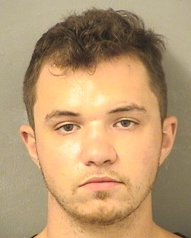 ALEXANDER VINCENZO TURCO Resultados de la busqueda para Palm Beach County Florida para  ALEXANDER VINCENZO TURCO