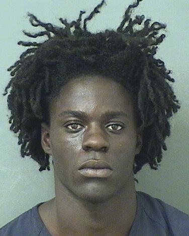  BRANDON DARNELL SMITH Results from Palm Beach County Florida for  BRANDON DARNELL SMITH