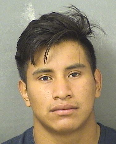  FRANCISCO BALTAZARMATEO Resultados de la busqueda para Palm Beach County Florida para  FRANCISCO BALTAZARMATEO