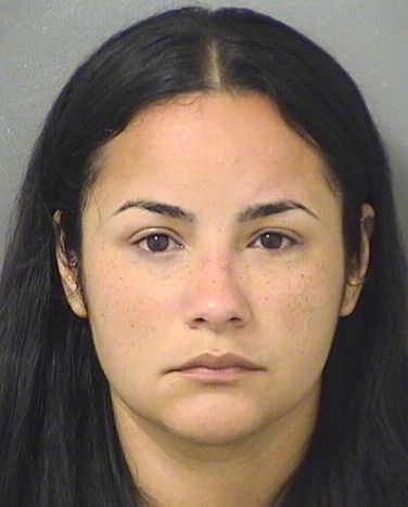  ANA ELENA CASTILLO Results from Palm Beach County Florida for  ANA ELENA CASTILLO