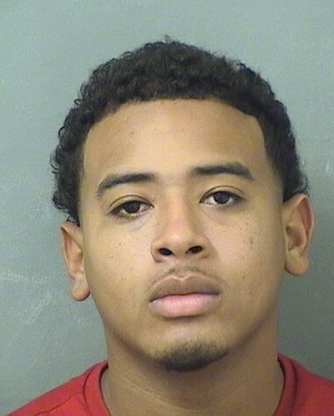  JAMES L III JOHNSON Results from Palm Beach County Florida for  JAMES L III JOHNSON