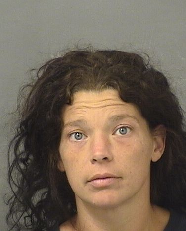  JAMIE ANN LAFRENZ Results from Palm Beach County Florida for  JAMIE ANN LAFRENZ