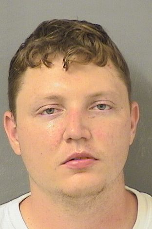  MICHAEL R Jr NOSTRANT Results from Palm Beach County Florida for  MICHAEL R Jr NOSTRANT