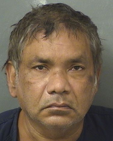  HAMID MOHAMMED Results from Palm Beach County Florida for  HAMID MOHAMMED