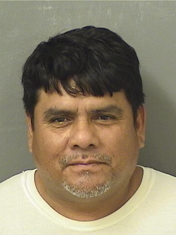  JOSE FIDEL LOPEZ Resultados de la busqueda para Palm Beach County Florida para  JOSE FIDEL LOPEZ