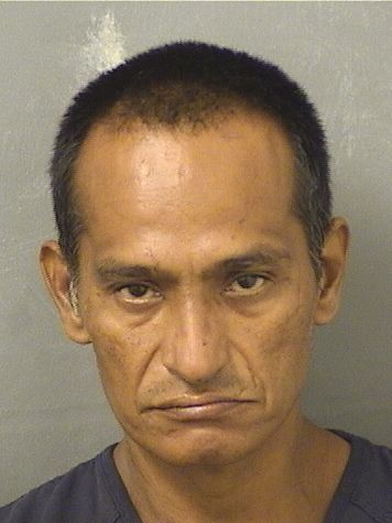  ARMONDO MALDONADO Resultados de la busqueda para Palm Beach County Florida para  ARMONDO MALDONADO