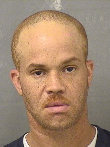  ANTHONY STONE Resultados de la busqueda para Palm Beach County Florida para  ANTHONY STONE