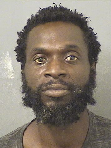  MICHAEL J GRIFFIN Results from Palm Beach County Florida for  MICHAEL J GRIFFIN