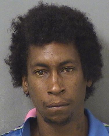  MICHEAL STANLEY GUNN Results from Palm Beach County Florida for  MICHEAL STANLEY GUNN