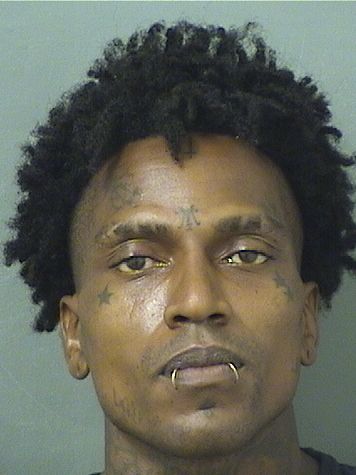  MARCUS ANTONIO JOHNSON Results from Palm Beach County Florida for  MARCUS ANTONIO JOHNSON