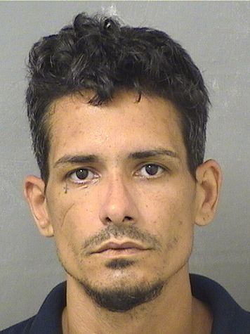  JORGE LUIS APONTESANTIAGO Results from Palm Beach County Florida for  JORGE LUIS APONTESANTIAGO