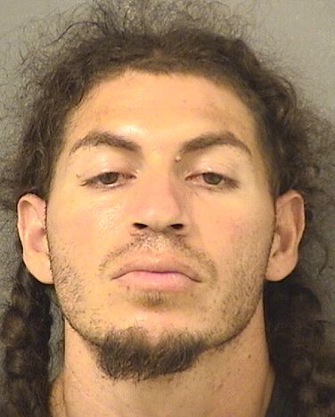  ALEXANDER LOUIS TORRES Resultados de la busqueda para Palm Beach County Florida para  ALEXANDER LOUIS TORRES