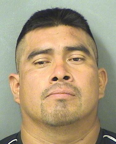 PEDRO SEBASTIAN Photos For  PEDRO SEBASTIAN  PEDRO SEBASTIAN Photo For  PEDRO SEBASTIAN