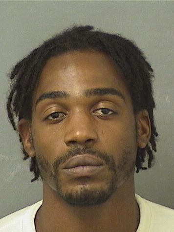  TYRIK J LEWIS Results from Palm Beach County Florida for  TYRIK J LEWIS