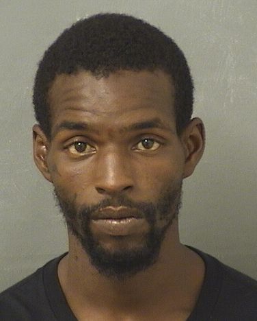  MARKIE LATOUR BROCKINGTON Results from Palm Beach County Florida for  MARKIE LATOUR BROCKINGTON