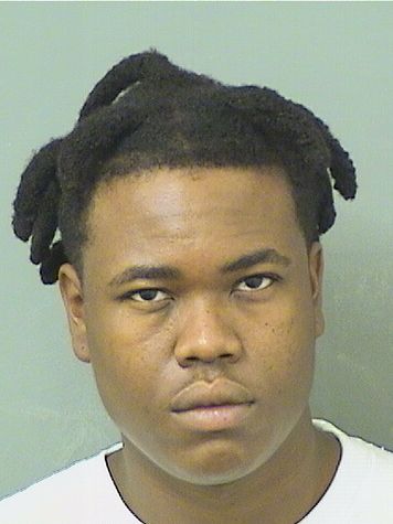  GEORGE B BORSAY Results from Palm Beach County Florida for  GEORGE B BORSAY