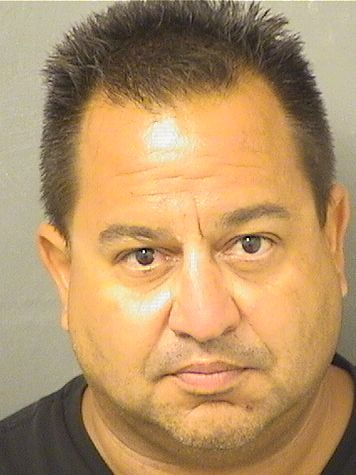  ELVING LUIS TORRES Results from Palm Beach County Florida for  ELVING LUIS TORRES