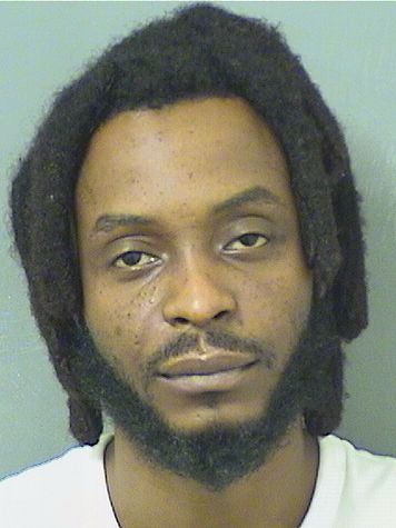  DIMITRY HANS CHERESTAL Results from Palm Beach County Florida for  DIMITRY HANS CHERESTAL