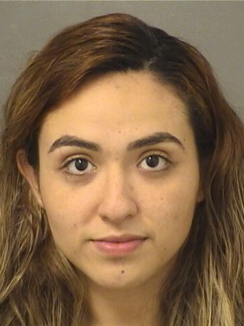  MICHELLE GUZMAN Results from Palm Beach County Florida for  MICHELLE GUZMAN