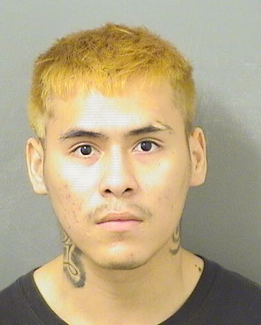  KEVIN SANDOVAL Results from Palm Beach County Florida for  KEVIN SANDOVAL