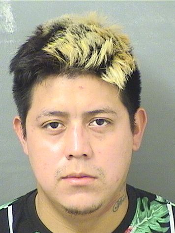  DELMAR LEONEL ROLAND RAMIREZ Photo For  DELMAR LEONEL ROLAND RAMIREZ