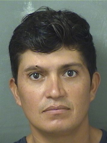  JUAN CARLOS OROZCO VALENZUELA Resultados de la busqueda para Palm Beach County Florida para  JUAN CARLOS OROZCO VALENZUELA