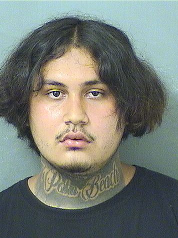 JOSE ALBERT MALDONADO Results from Palm Beach County Florida for JOSE ALBERT MALDONADO JOSE ALBERT MALDONADO Results from Palm Beach County Florida for JOSE ALBERT MALDONADO