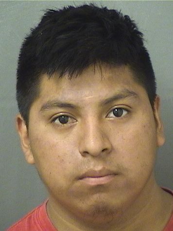  JEREMIAS FRANCISCO GARCIAVASQUEZ Results from Palm Beach County Florida for  JEREMIAS FRANCISCO GARCIAVASQUEZ