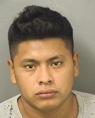  ROBELI MORALESVASQUEZ Resultados de la busqueda para Palm Beach County Florida para  ROBELI MORALESVASQUEZ