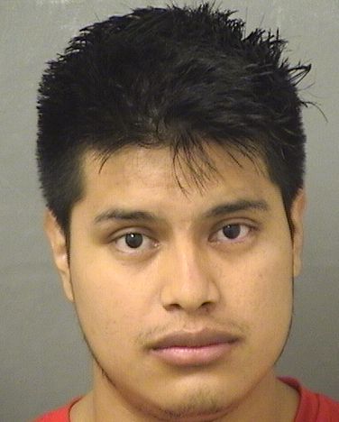 EDY EVERALDO VASQUEZVELASQUEZ Results from Palm Beach County Florida for EDY EVERALDO VASQUEZVELASQUEZ EDY EVERALDO VASQUEZVELASQUEZ Results from Palm Beach County Florida for EDY EVERALDO VASQUEZVELASQUEZ