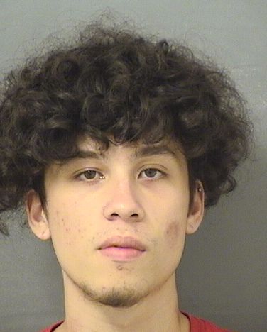  ETHAN ALEXANDER GRANTHON Resultados de la busqueda para Palm Beach County Florida para  ETHAN ALEXANDER GRANTHON