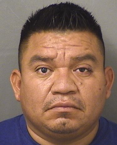  VITELIO ELMECIAS FUENTESCARDONA Resultados de la busqueda para Palm Beach County Florida para  VITELIO ELMECIAS FUENTESCARDONA