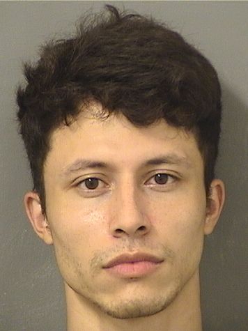  FERNANDO P ZELAYA Results from Palm Beach County Florida for  FERNANDO P ZELAYA