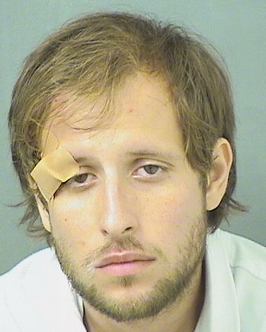  MICHAEL WILLIAM GORIS Results from Palm Beach County Florida for  MICHAEL WILLIAM GORIS